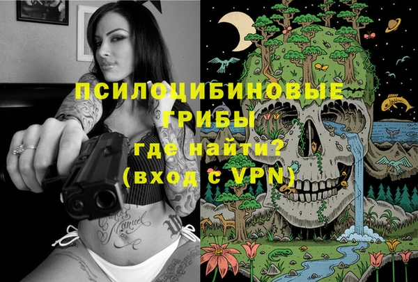 дмт Армянск