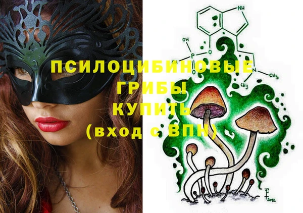 дмт Армянск