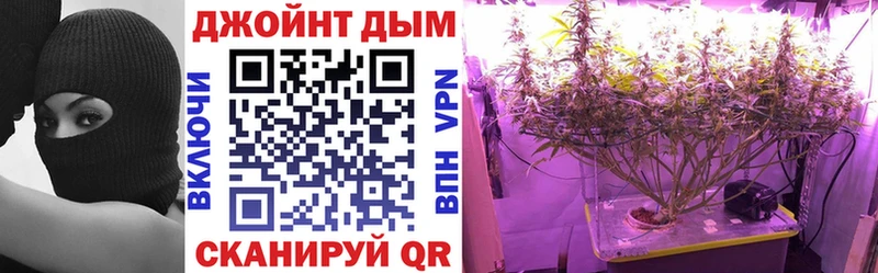 Бошки марихуана THC 21%  Купить где  Белореченск 